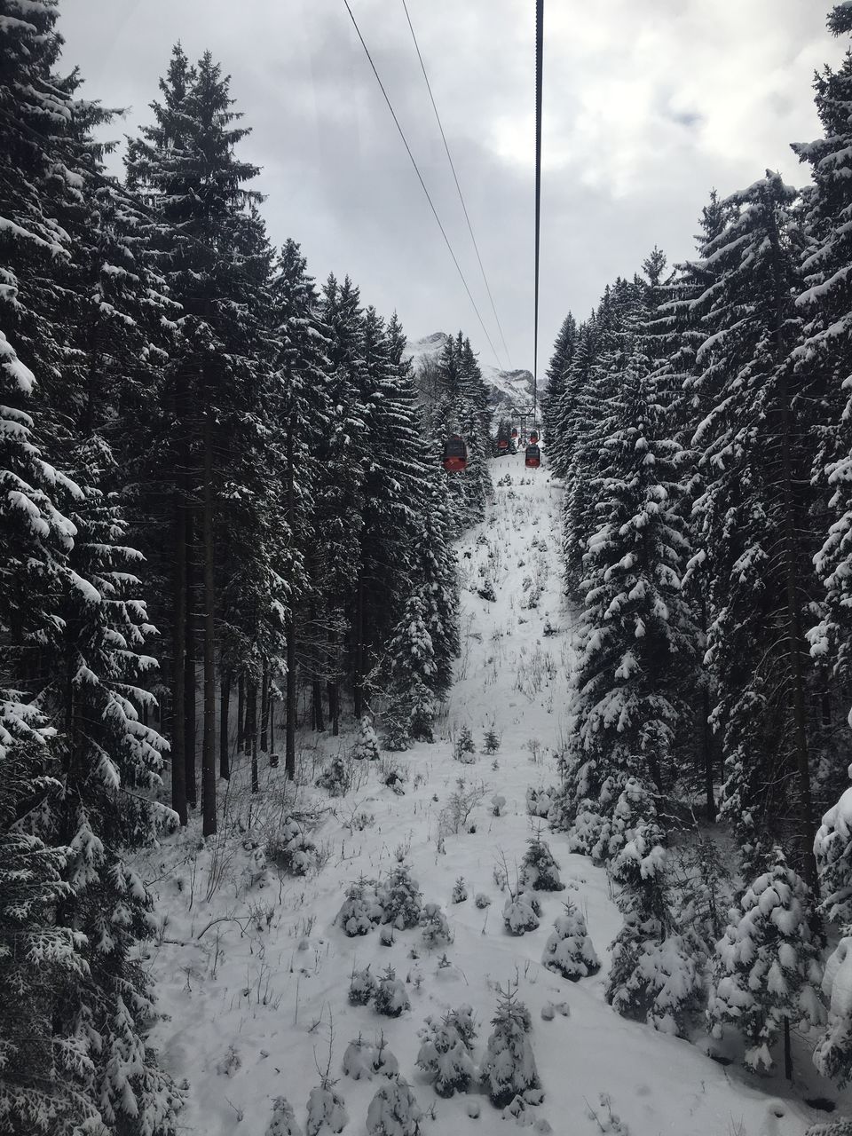Photo of Snow Heaven at Mt Pilatus by Vrundesh