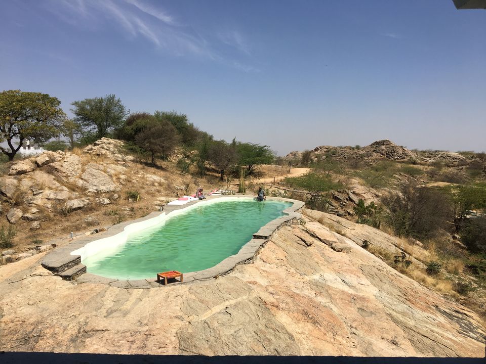 Photo of A Hidden Oasis - Lakshman Sagar(Pali) by Vrundesh