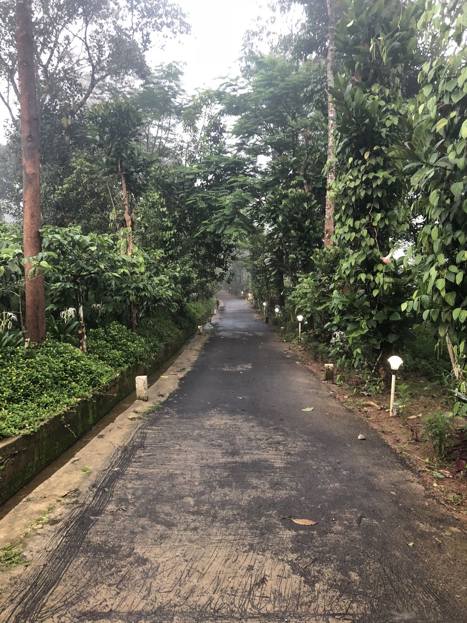 Photo of Our Magical Coorg Trip in Monsoon by Vrundesh