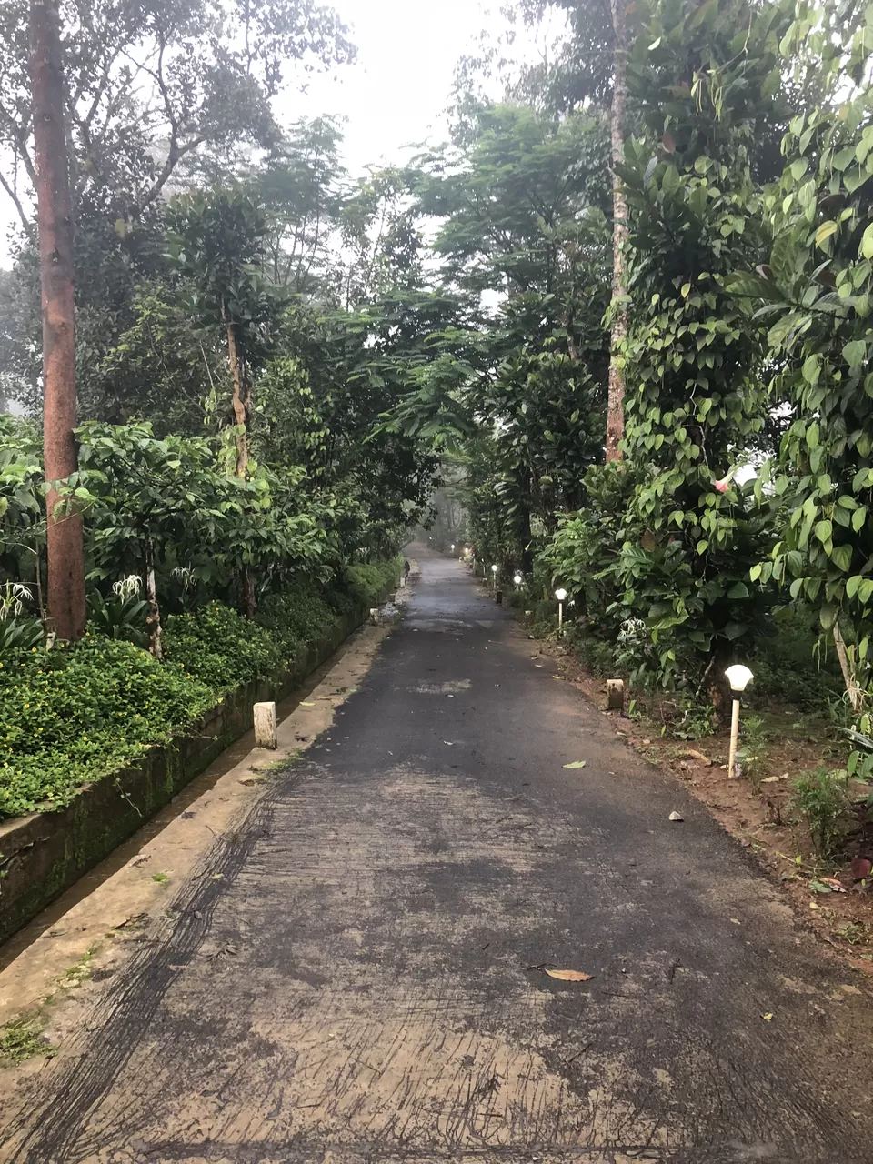 Photo of Our Magical Coorg Trip in Monsoon by Vrundesh