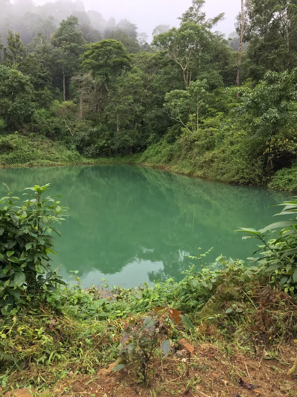 Photo of Magnolia Estates & Resort, Virajpet, Karnataka, India by Vrundesh