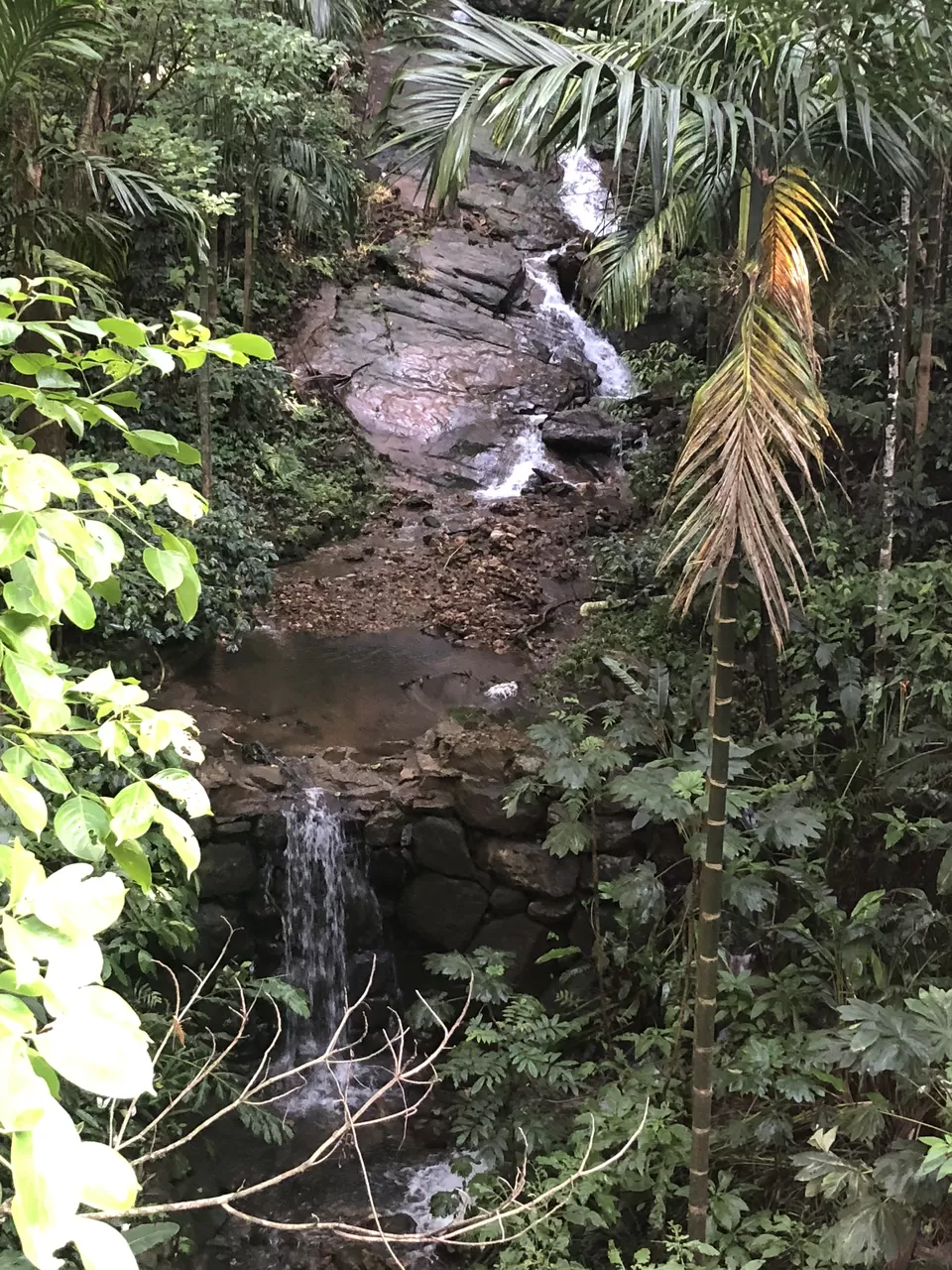 Photo of The Tamara Coorg, Yevakapadi, Karnataka, India by Vrundesh