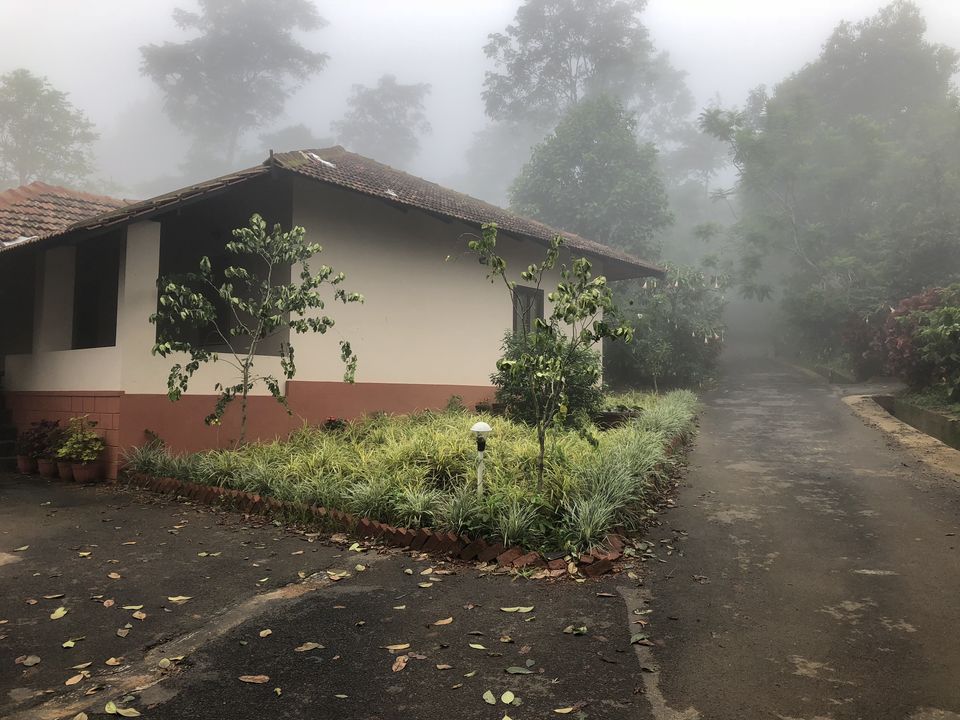 Photo of Our Magical Coorg Trip in Monsoon by Vrundesh