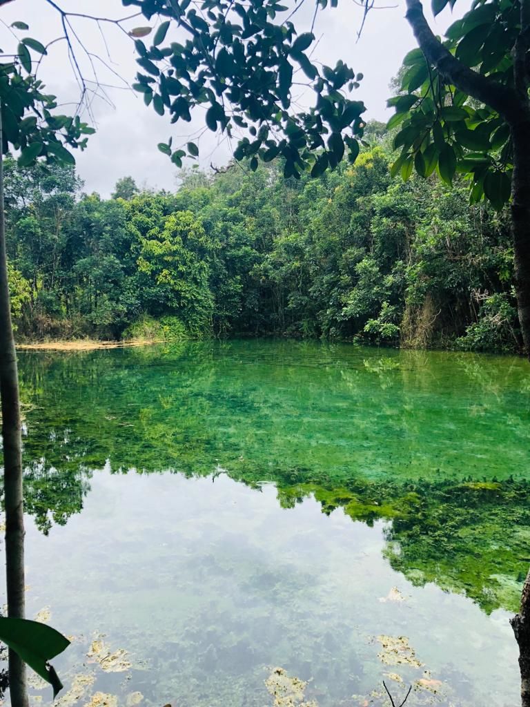 Photo of Emerald Pool, Khlong Thom Nuea, Khlong Thom District, Krabi, Thailand by Vrundesh