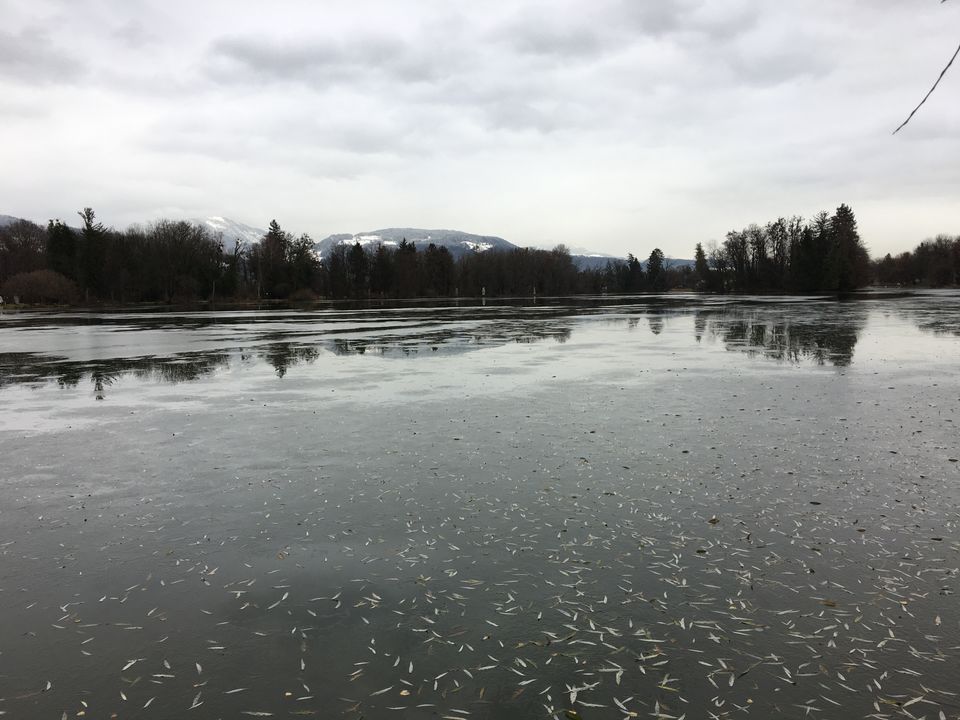 Photo of Salzburg, Austria by Vrundesh