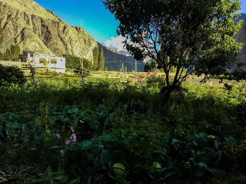 Photo of Turtuk by my travel trails