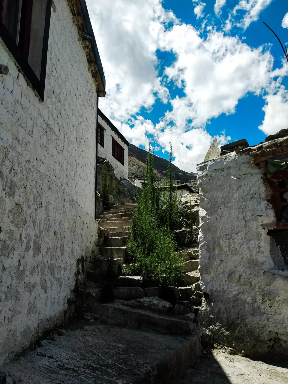 Photo of Diskit Gompa, Diskit by my travel trails