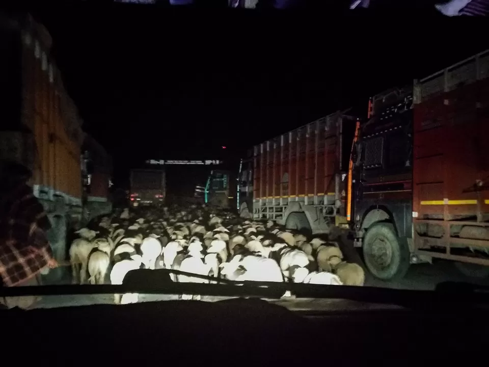 Photo of Dras by my travel trails