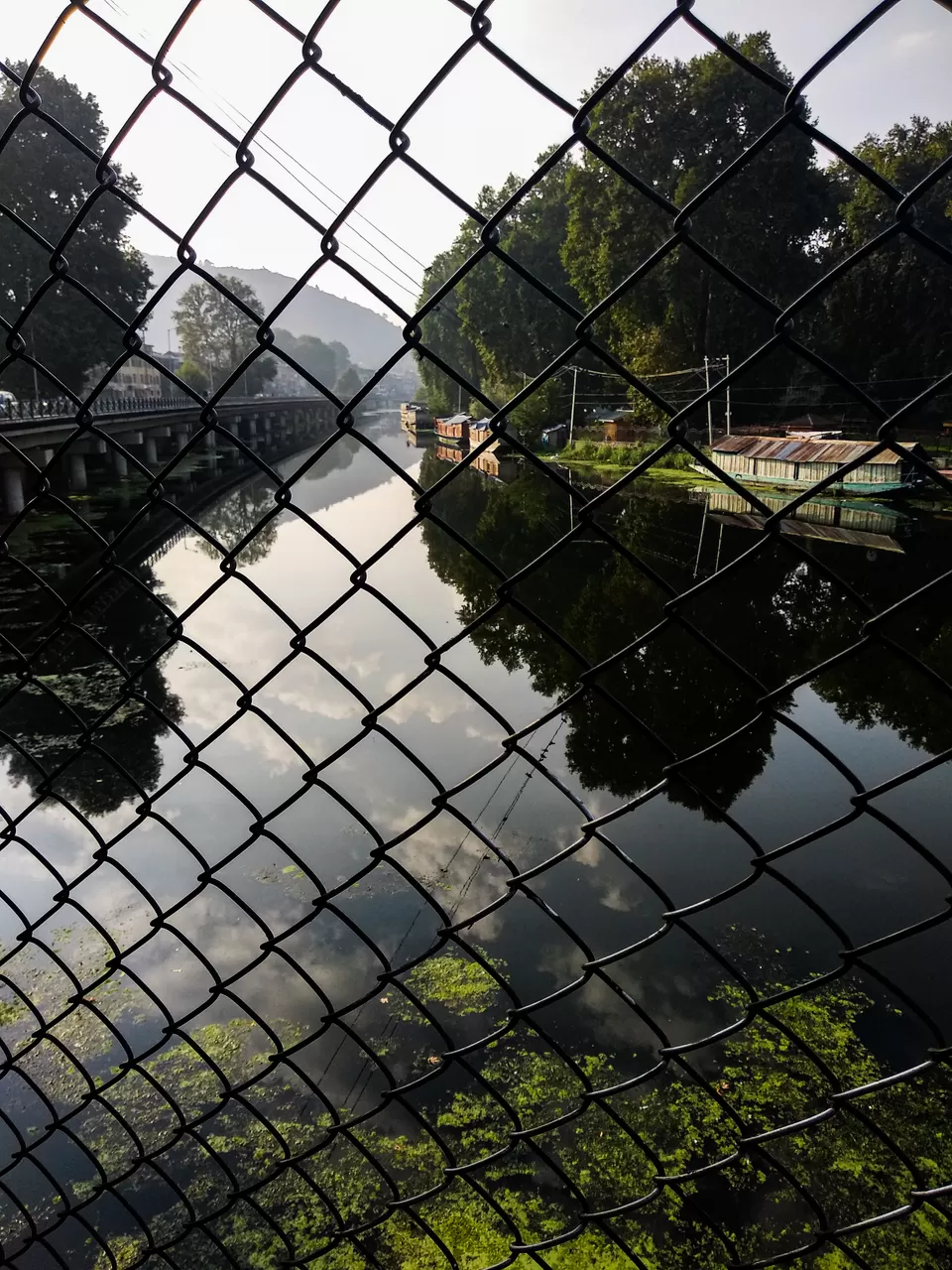 Photo of Dal Lake, Srinagar by my travel trails