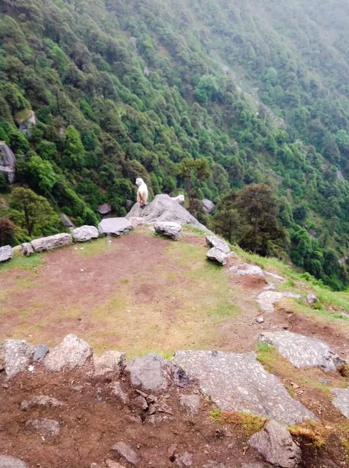 Photo of Trail to Triund Hill from Main Square, Trail to Triund Hill from Main Square, Dharamkot, Dharamshala, Himachal Pradesh 176216, India by Tanisha Sharma