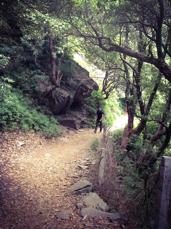 Photo of Trail to Triund Hill, Trail to Triund Hill, Dharamshala, Himachal Pradesh 176216, India by Tanisha Sharma