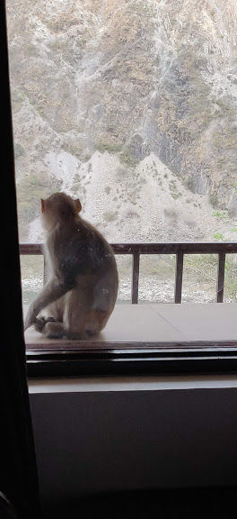 Photo of Jim Corbett National Park, Ramnagar, Uttarakhand, India by pawar sheetal