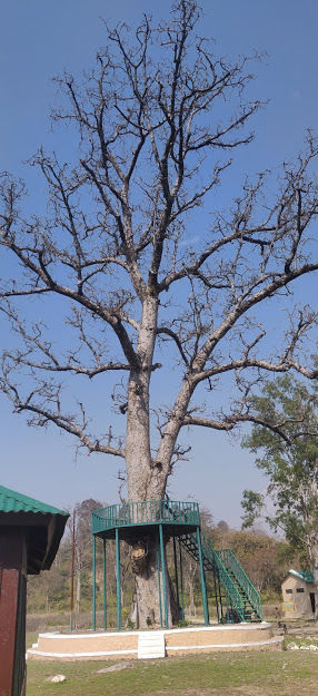 Photo of Jim Corbett National Park, Ramnagar, Uttarakhand, India by pawar sheetal