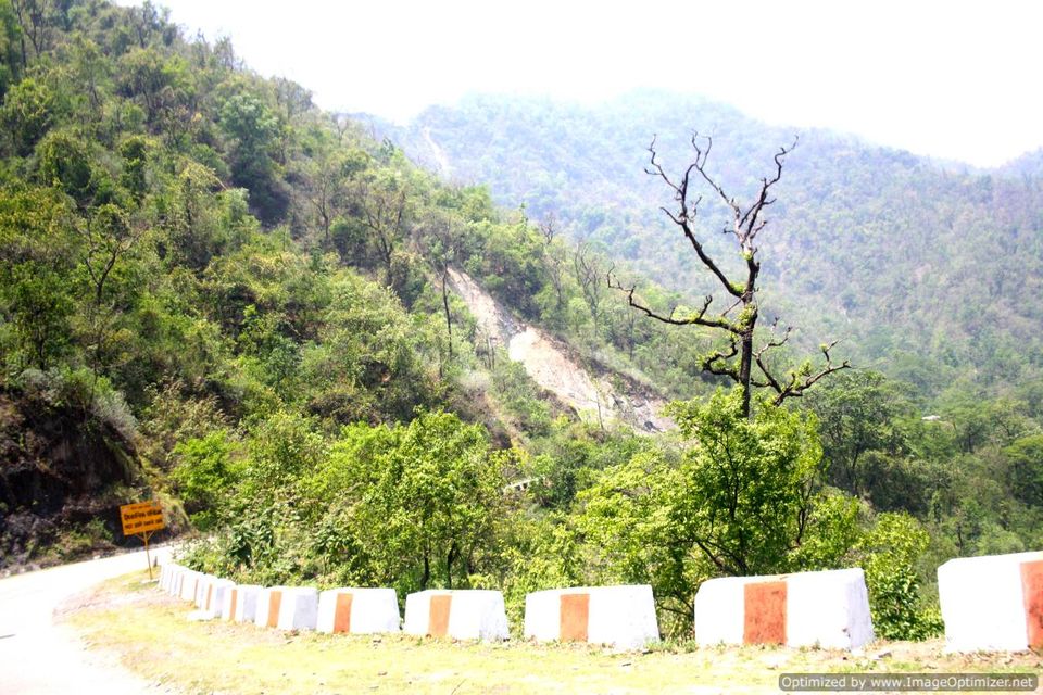 Photo of Tranquility of Rishikesh 7/22 by Sneha Vashist