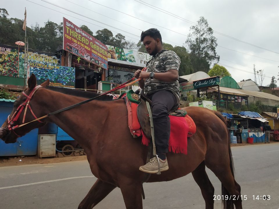 Photo of Hyderabad - Ooty by Hasham Momin
