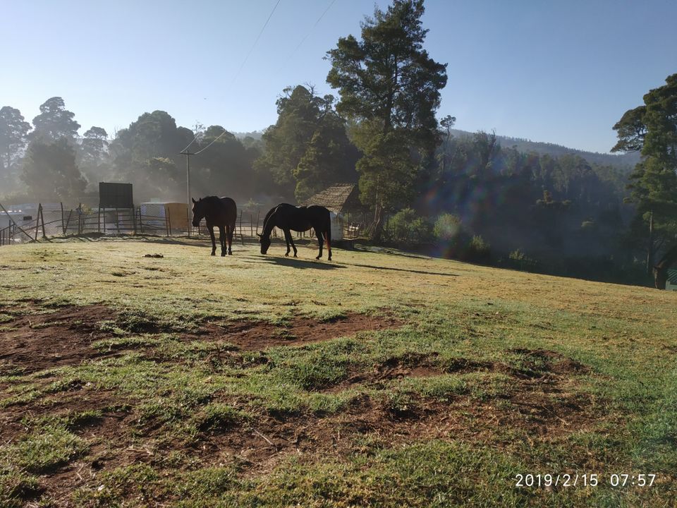 Photo of Hyderabad - Ooty by Hasham Momin