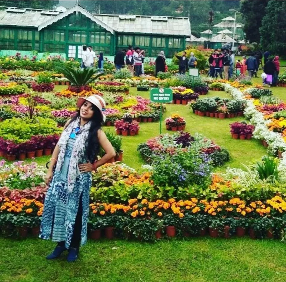 Photo of Pack Your Bag, and head toward Ooty - A must visit hill station by Pallavi pandey