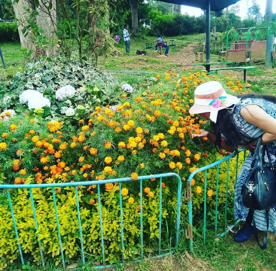 Photo of Pack Your Bag, and head toward Ooty - A must visit hill station by Pallavi pandey