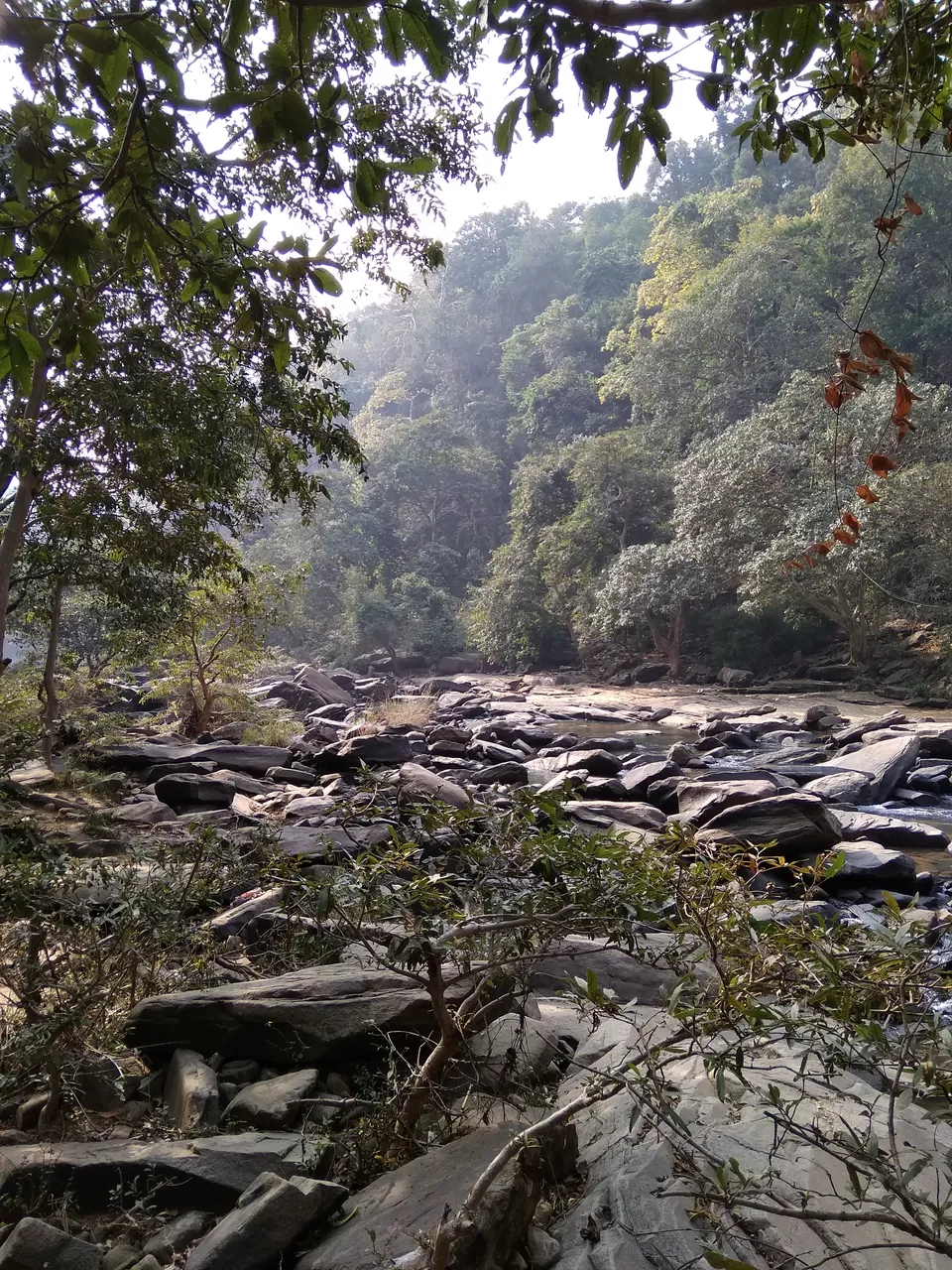 Photo of Lakhaniya Dari, Latifpur, Uttar Pradesh, India by Ravi Ranjan Ojha