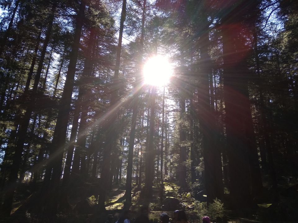 Photo of First day of my Solo Trip and I walked 15 kms ||Part 2 of 7|| by Ravi Ranjan Ojha