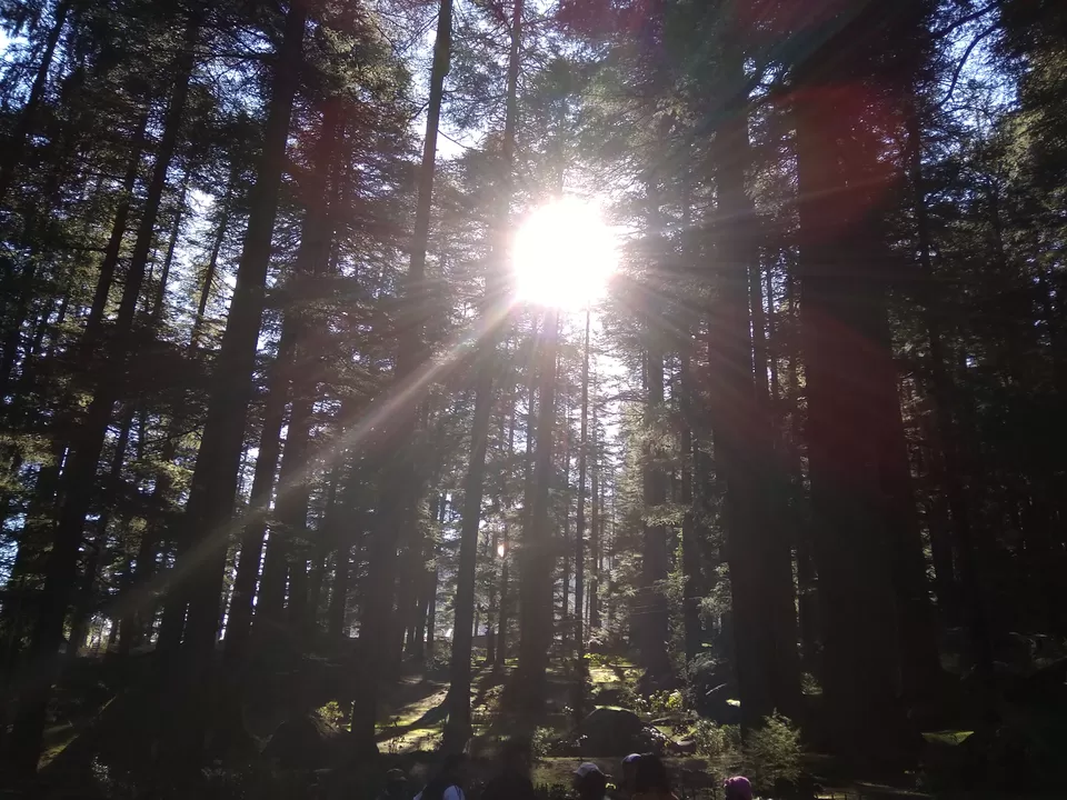 Photo of Van Vihar, Manali, Himachal Pradesh by Ravi Ranjan Ojha