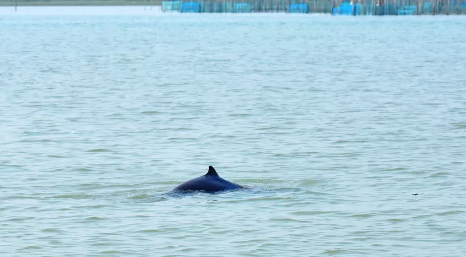 Photo of Chilika lake , Odisha, Chilika, Odisha, India by Pranjal Baruah