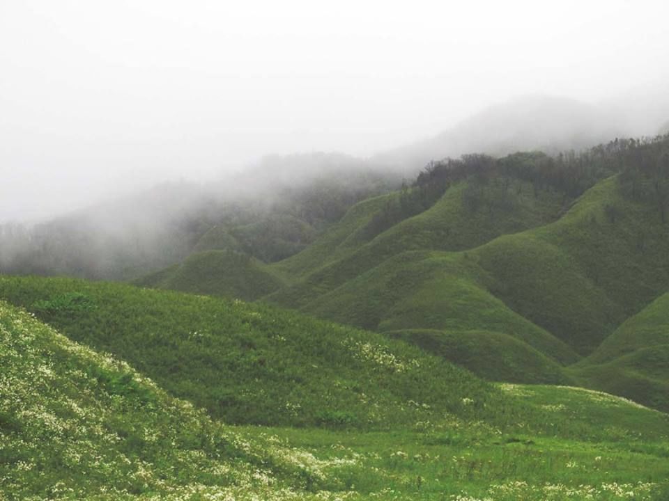 Photo of Dzükou Valley, India by Pranjal Baruah