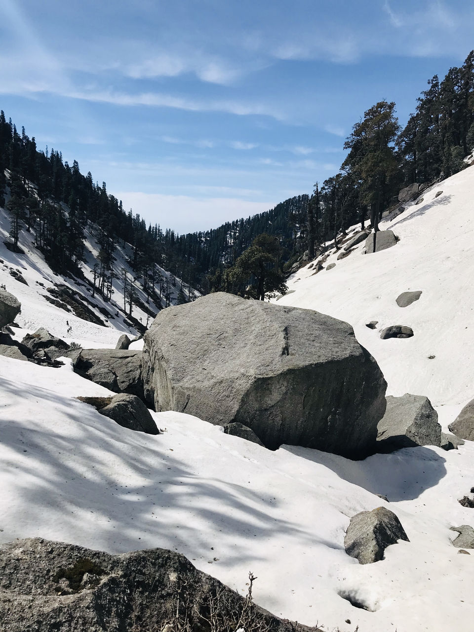 Photo of Detailed Summary and Trip Planning for Kareri Lake Trek 3/8 by kamanshu karwal