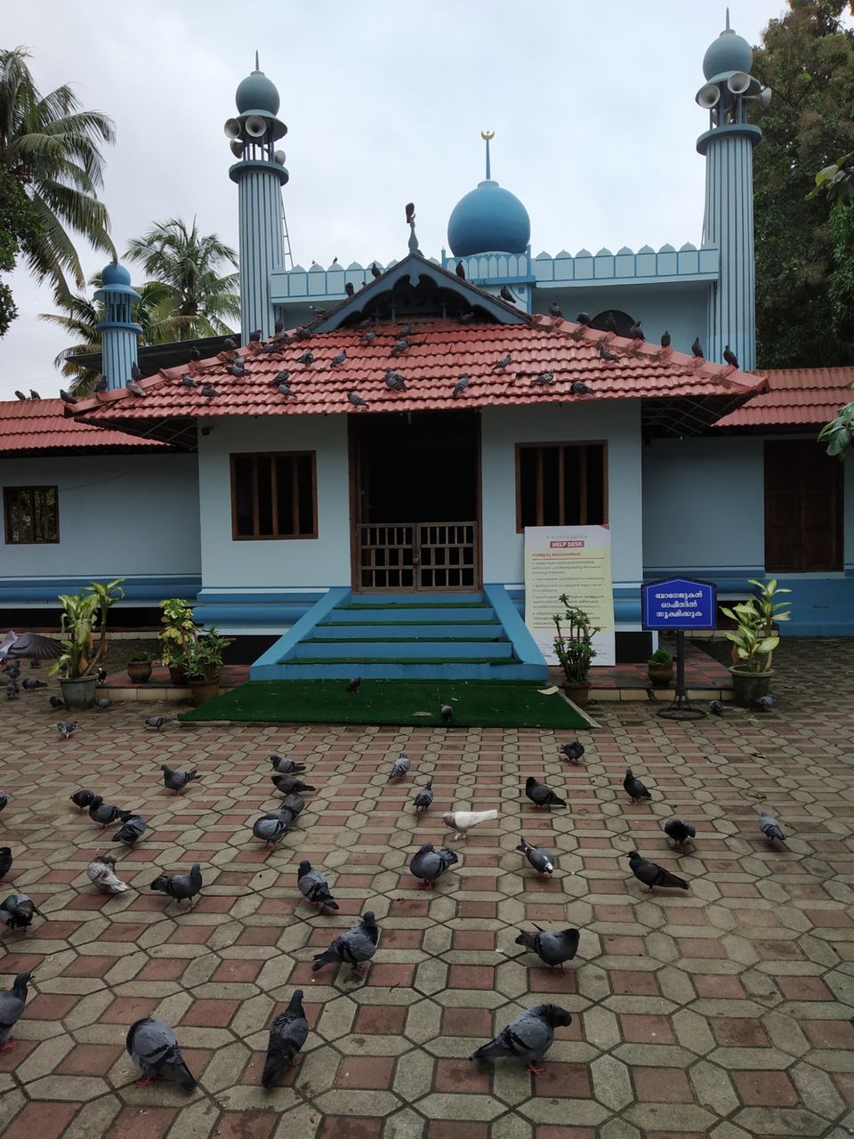 Photo of "IN SEARCH OF LOVE TOWARDS NATURE WITH KERALA : THRISSUR; ATHIRAPILLY; KOZHIKODE:. by Nomadic Raheem