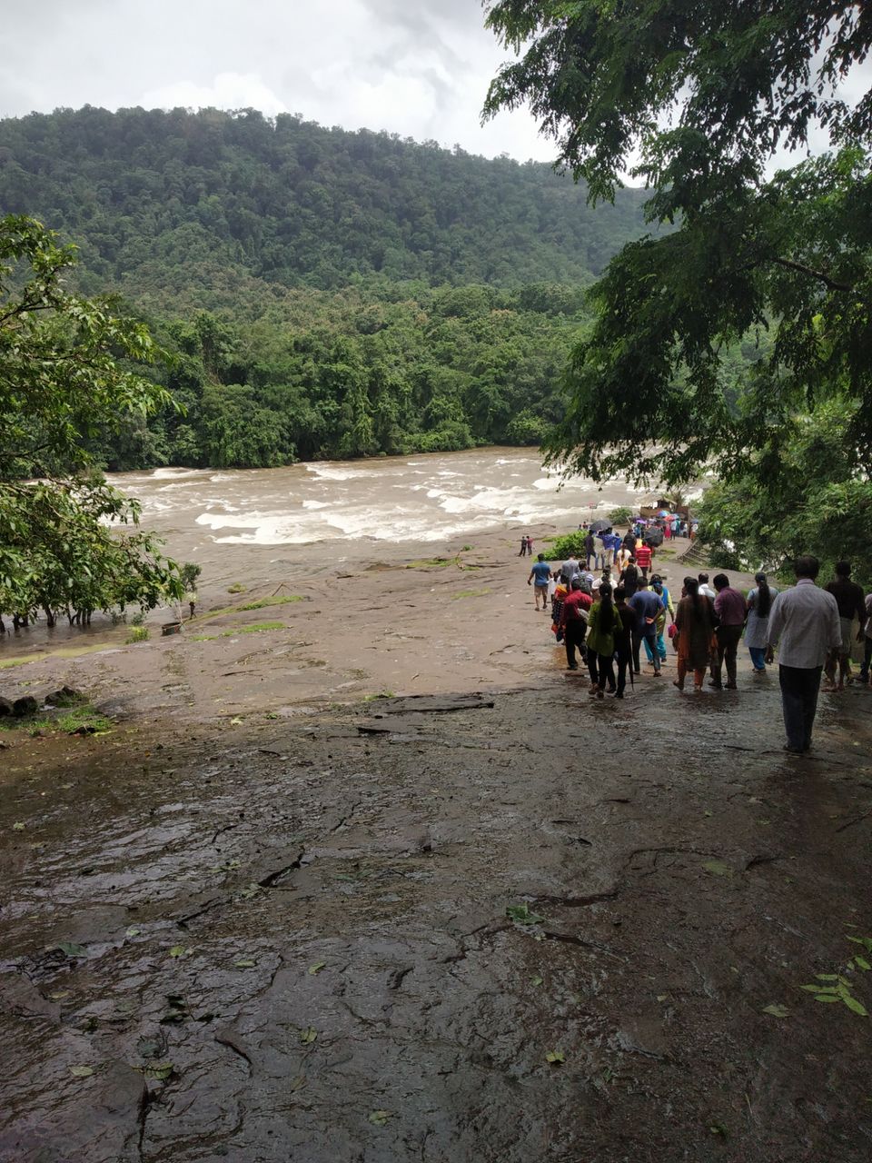 Photo of "IN SEARCH OF LOVE TOWARDS NATURE WITH KERALA : THRISSUR; ATHIRAPILLY; KOZHIKODE:. by Nomadic Raheem