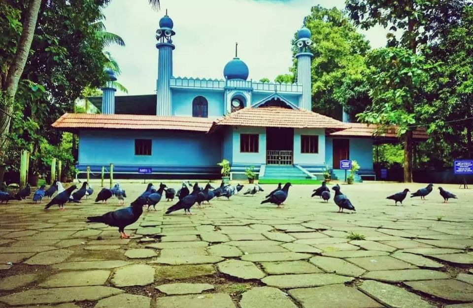 Photo of "IN SEARCH OF LOVE TOWARDS NATURE WITH KERALA : THRISSUR; ATHIRAPILLY; KOZHIKODE:. by Nomadic Raheem