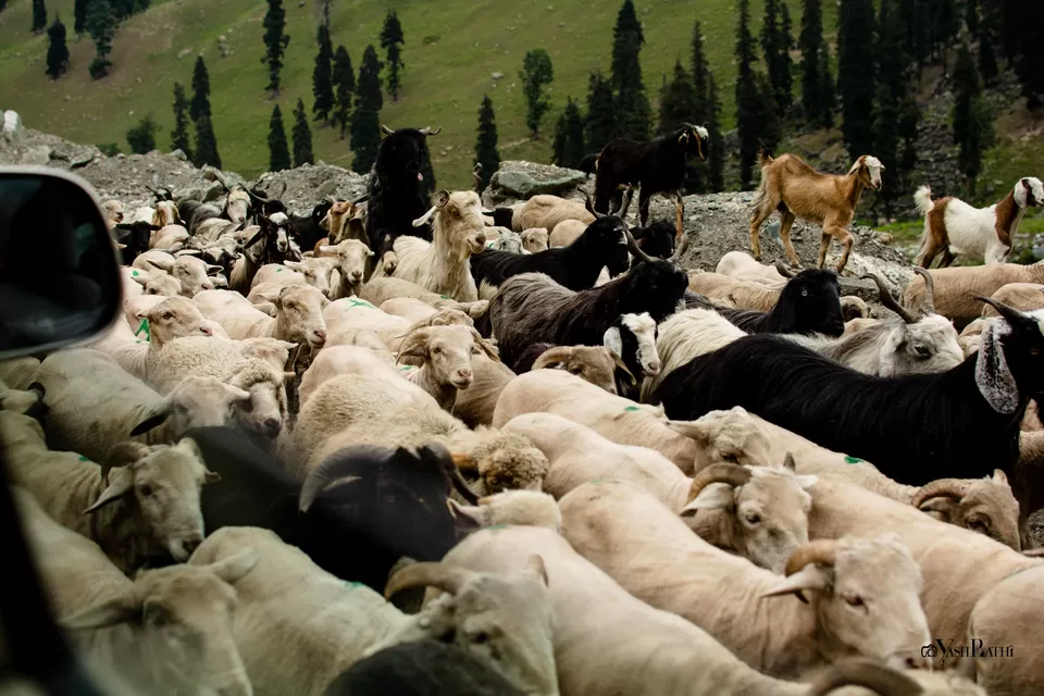 Photo of Srinagar by Footprints On The Globe