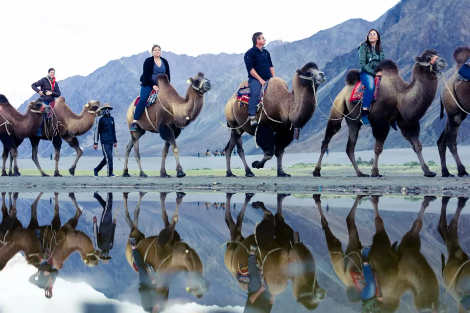 Photo of Nubra Valley by Footprints On The Globe