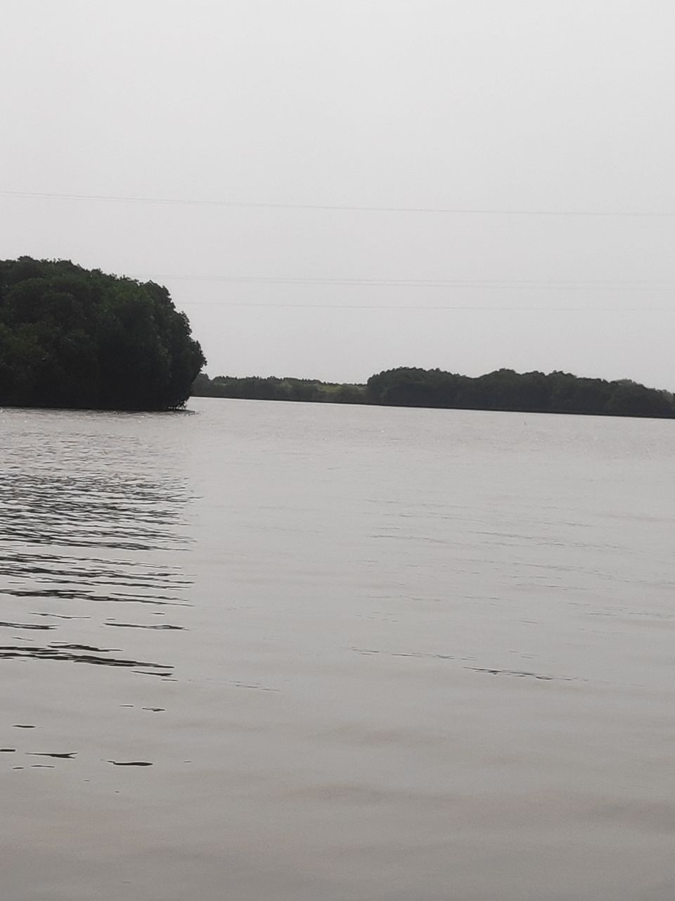 Photo of Pichavaram Mangrove Forest, Pichavaram, Tamil Nadu, India by Sydney Sumanth