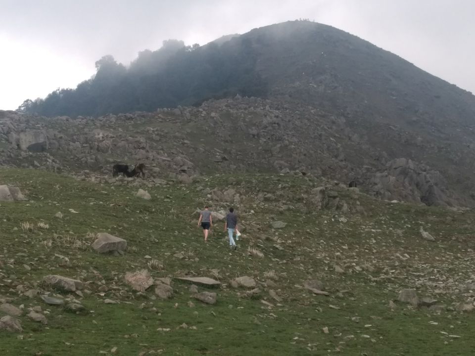 Photo of Triund trek by a Asthmatic Person by Nitish Duniwal