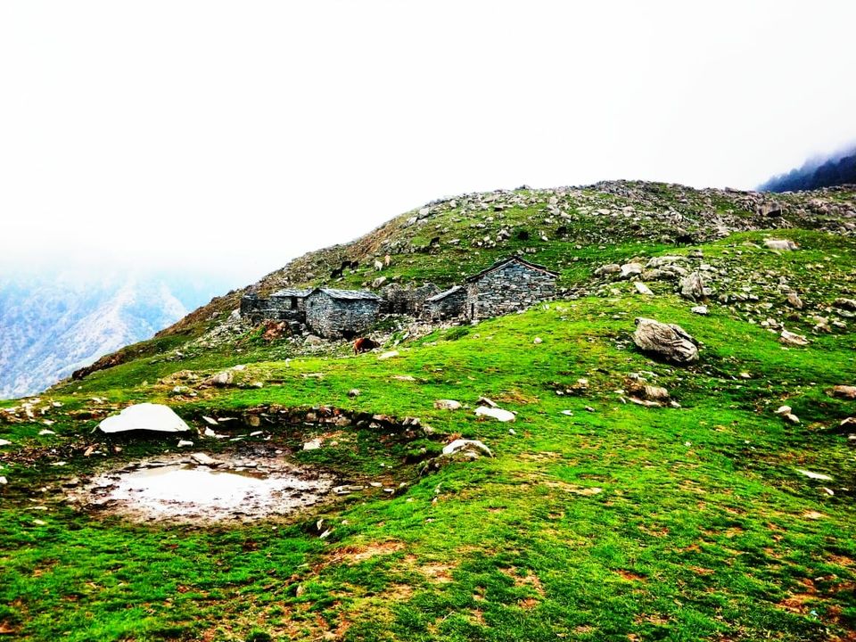 Photo of Triund trek by a Asthmatic Person by Nitish Duniwal