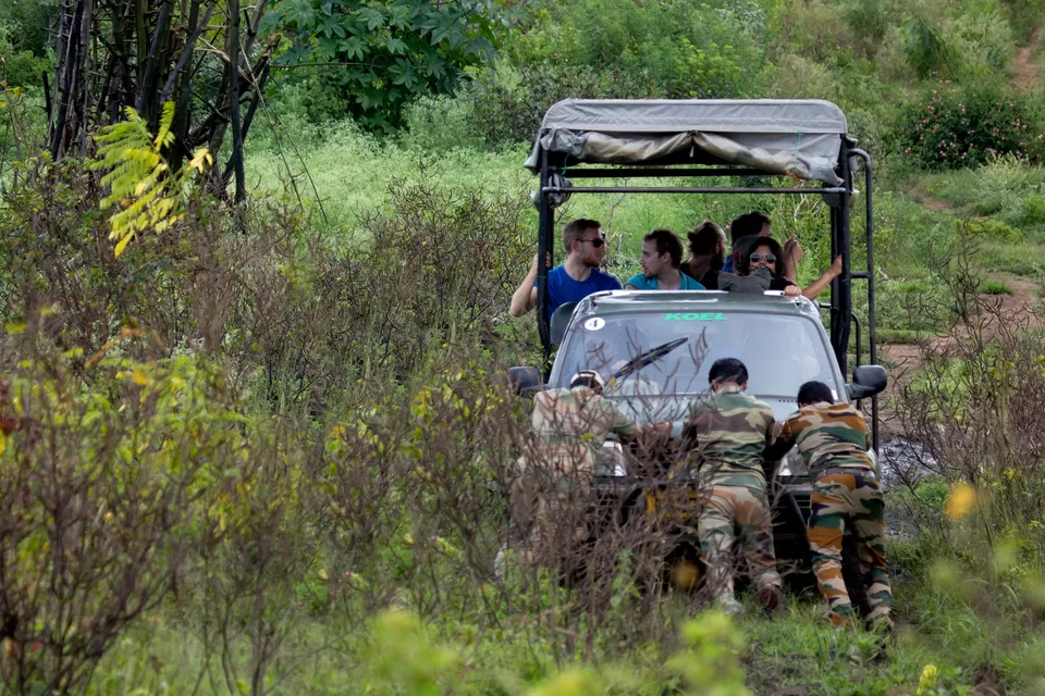 Photo of Bandipur National Park, Mysuru, Karnataka, India by Kuriakose Sebastian