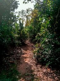 Photo of The Quiet Calm of Mukutmanipur #kolkatadiaries #beautifulcalcutta 2/2 by Amritaparna Saha