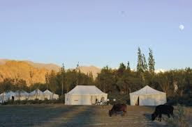 Photo of Tsermang Eco Camp - An Open House in #lehladakh #camping by Amritaparna Saha