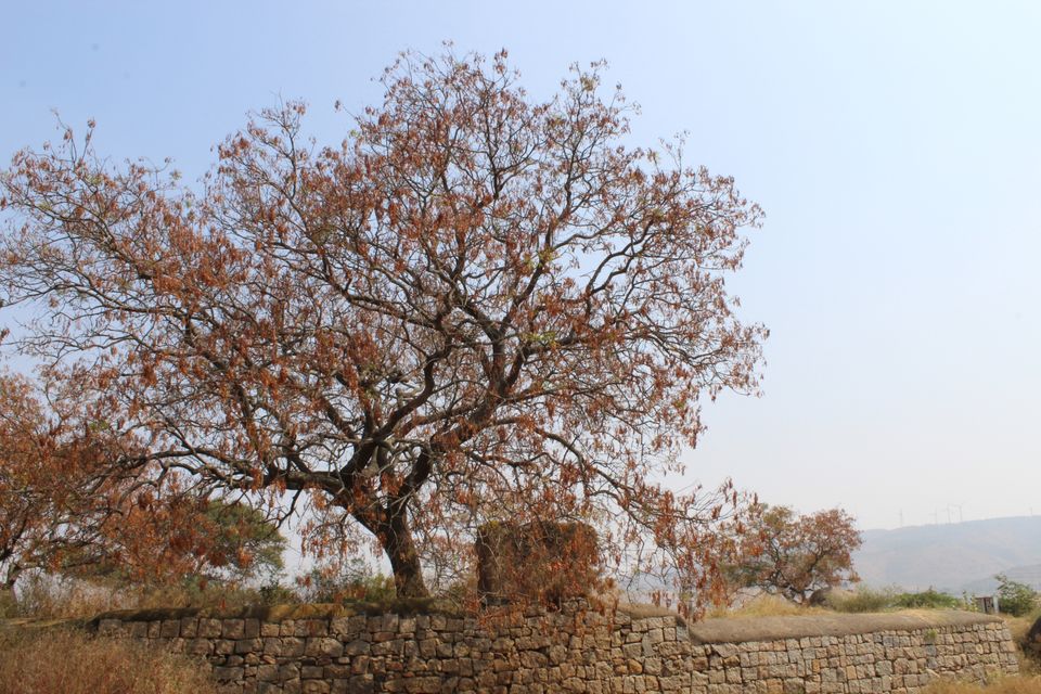 Photo of Chitradurga fort by Pooju