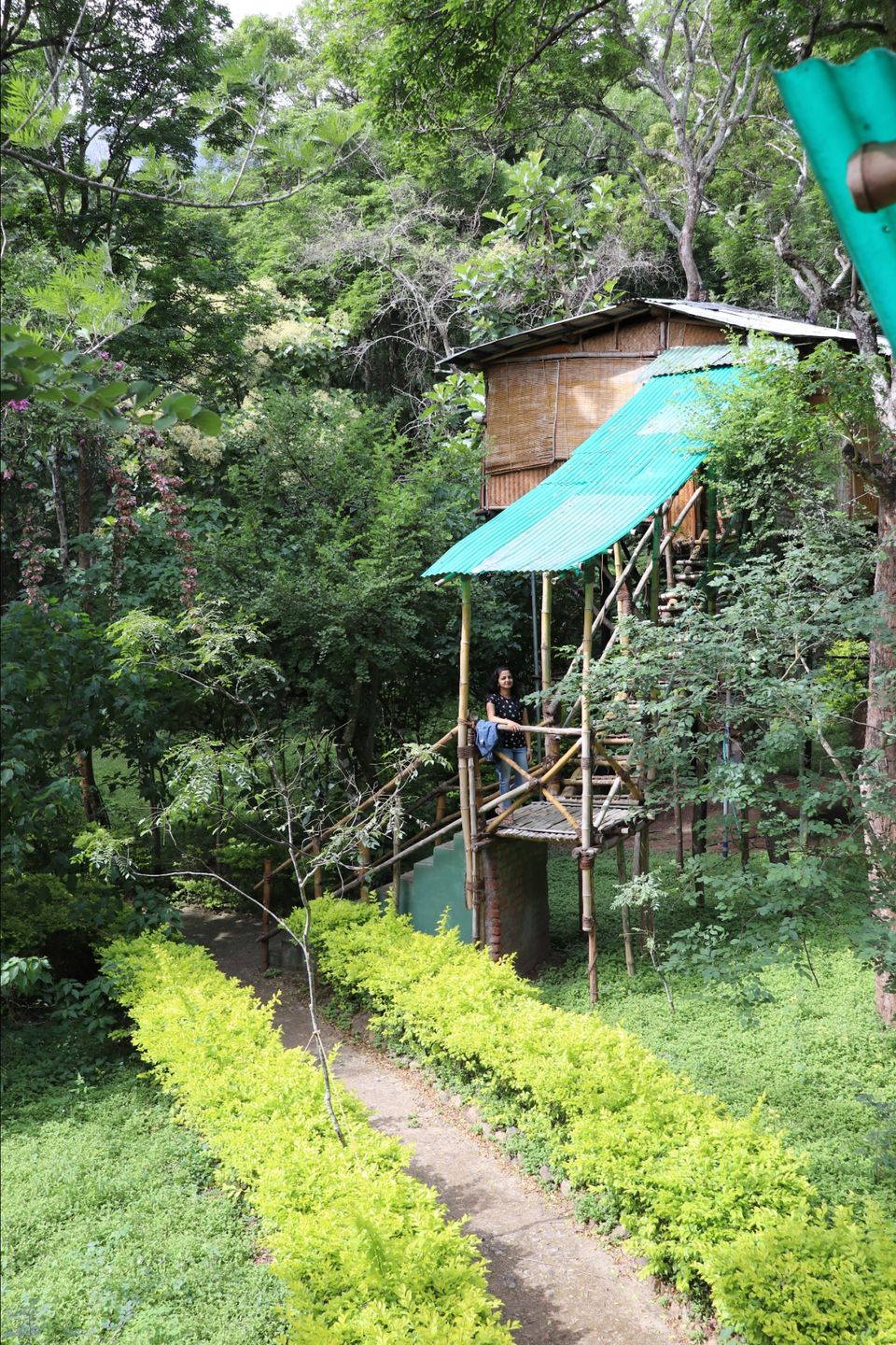 Photo of Jungle tree house by Pooju