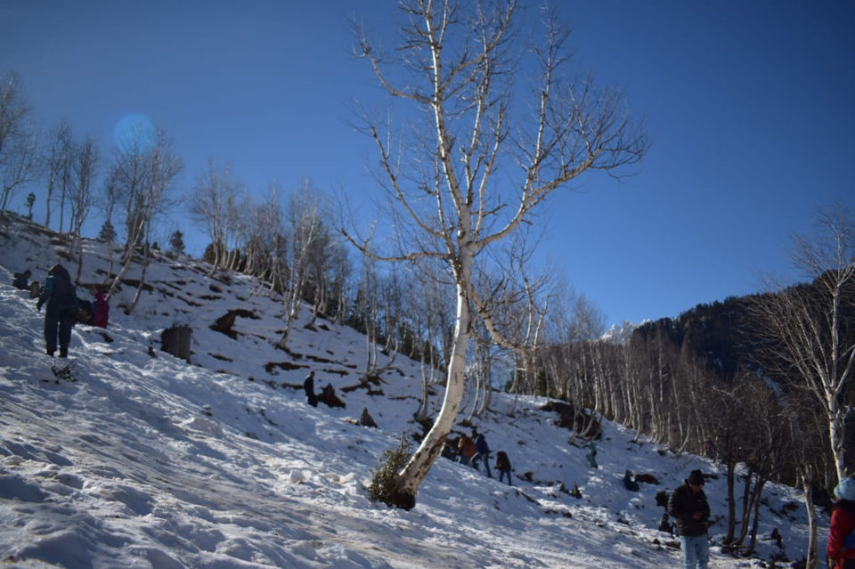 Photo of In The Midst Of Himalayas & Abode Of God by Mansi