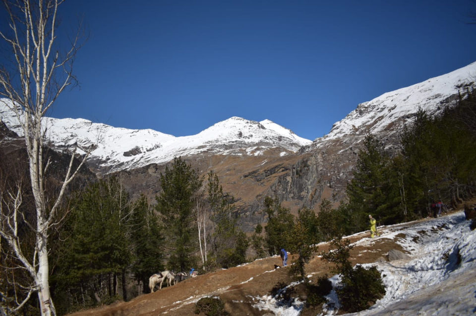Photo of In The Midst Of Himalayas & Abode Of God by Mansi