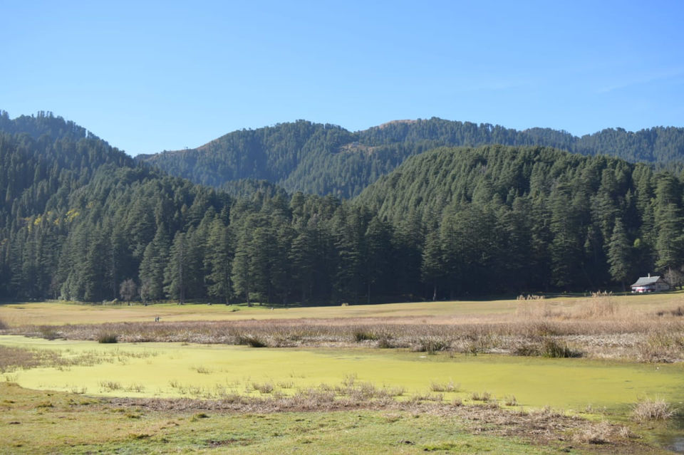Photo of Dalhousie Khajjiar Road, Rikh Nali, Himachal Pradesh, India by Mansi