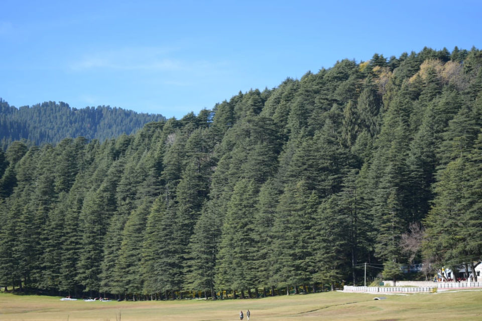 Photo of Dalhousie Khajjiar Road, Rikh Nali, Himachal Pradesh, India by Mansi