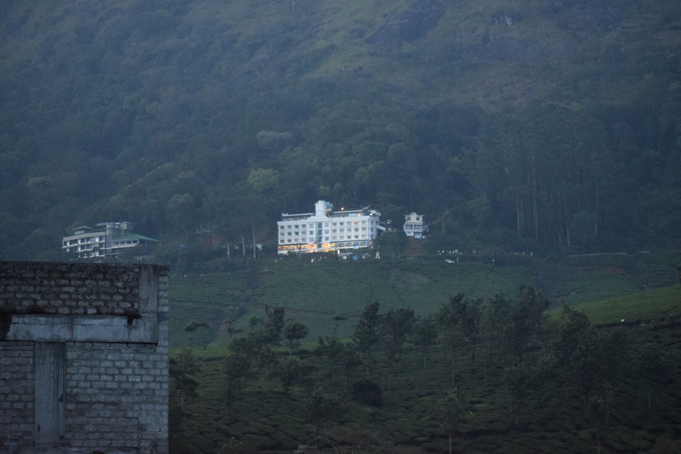 Photo of Munnar, Kerala, India by Mansi