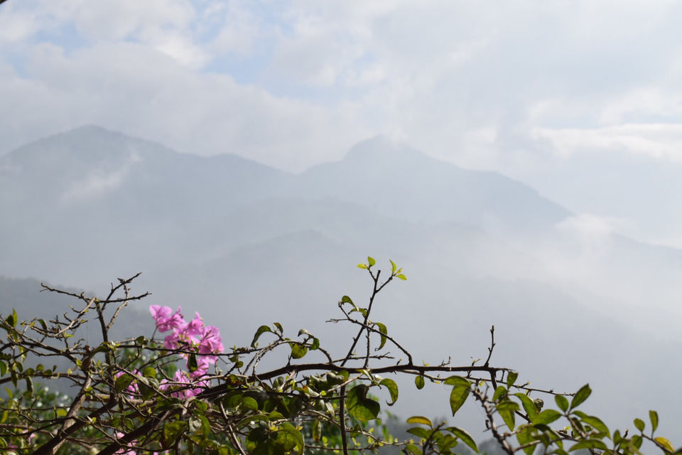 Photo of Munnar, Kerala, India by Mansi
