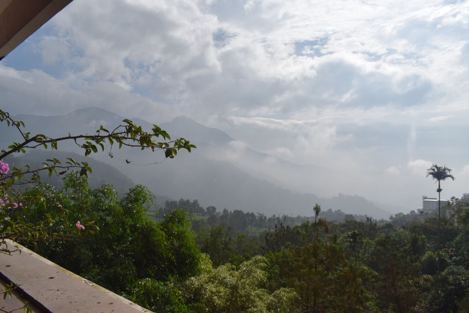 Photo of Munnar, Kerala, India by Mansi