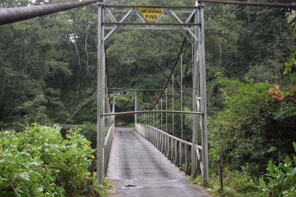 Photo of Munnar, Kerala, India by Mansi
