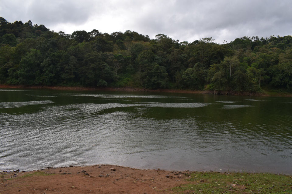 Photo of Munnar, Kerala, India by Mansi